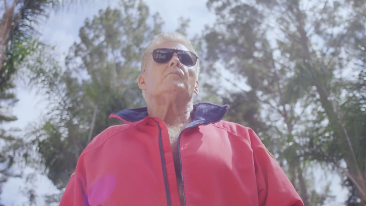 David Hasselhoff + Planet Play