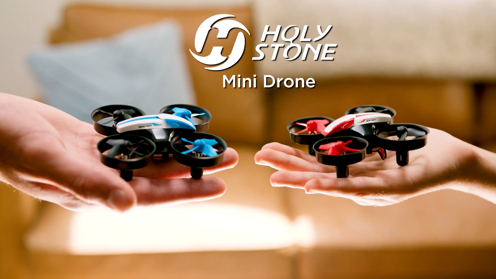 HOLY STONE Mini 30