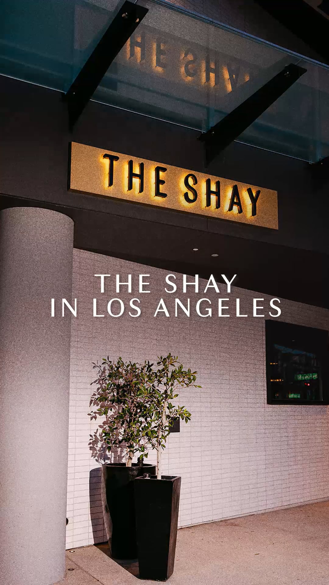 ZAYTINA - The Shay Culver City